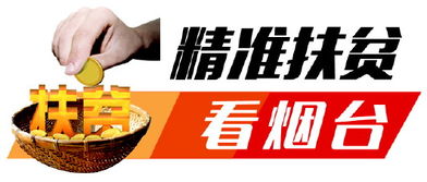 十大企业网站：「嘉定扶贫攻坚：脱贫先脱“土”」,十大企业网站：「嘉定扶贫攻坚：脱贫先脱“土”」,第3张
