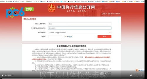 揭秘中国法院执行信息查询公开网，了解司法公开细节,揭秘中国法院执行信息查询公开网，了解司法公开细节,第2张