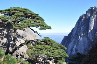 如何打造令人印象深刻的旅游官网？-以黄山官网建设为例,如何打造令人印象深刻的旅游官网？-以黄山官网建设为例,第3张