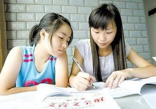制作公司网站的公司：小学生家长必看！如何选择最适合自己孩子的辅导机构？,制作公司网站的公司：小学生家长必看！如何选择最适合自己孩子的辅导机构？,第1张