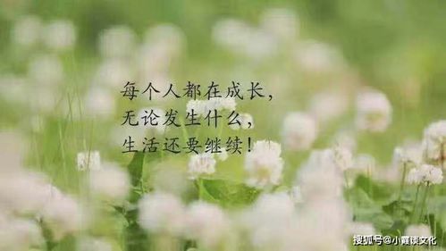 从流浪到寻找，为何思无邪成为欲海逍遥,从流浪到寻找，为何思无邪成为欲海逍遥,第1张