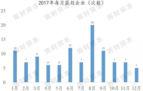 深度解析Leapmotor负责人涉嫌非法集资及欺诈事件：投资人如何保护自己？,深度解析Leapmotor负责人涉嫌非法集资及欺诈事件：投资人如何保护自己？,第2张