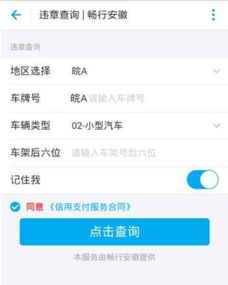 如何快速查询四川车辆违章记录并避免高额罚款？,如何快速查询四川车辆违章记录并避免高额罚款？,第2张