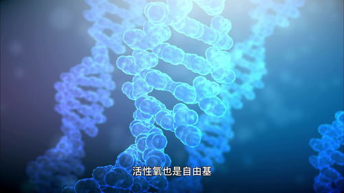 章鱼的血液之谜：这种神秘生物的生命奥秘揭秘,章鱼的血液之谜：这种神秘生物的生命奥秘揭秘,第2张