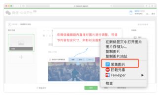 不一样的新媒体管理工具-新媒体管家Plus,不一样的新媒体管理工具-新媒体管家Plus,第3张