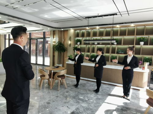 江苏SEO市场调查：如何选择最优质的SEO服务？,江苏SEO市场调查：如何选择最优质的SEO服务？,第1张