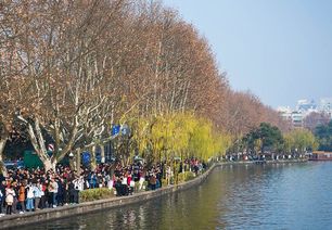 题目：探讨九寨沟旅游的黄金时间,题目：探讨九寨沟旅游的黄金时间,第3张