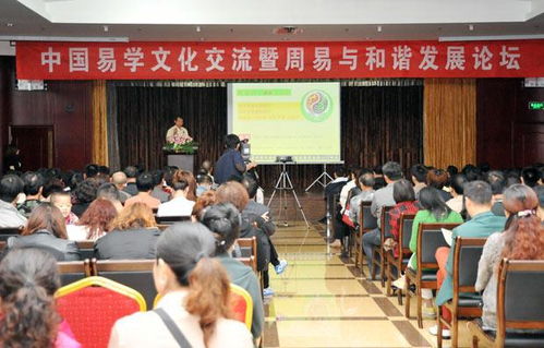 世界周易之光：探索人生意义的智慧之路,世界周易之光：探索人生意义的智慧之路,第2张