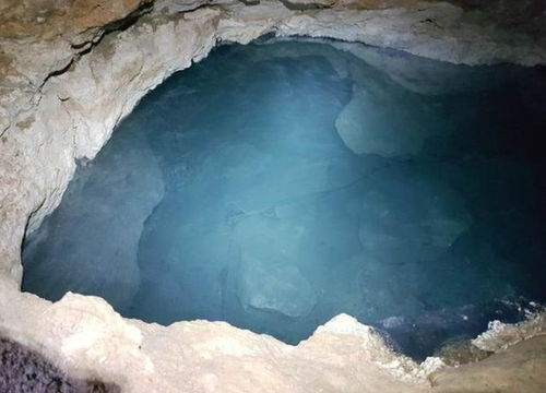 重庆市郊森林中的神秘生物摊,重庆市郊森林中的神秘生物摊,第2张
