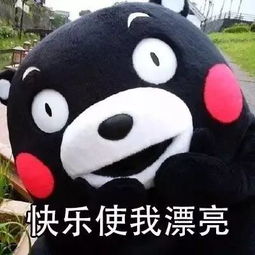 「题目」你已经out了，落伍中文网介绍几个热门表情包,「题目」你已经out了，落伍中文网介绍几个热门表情包,第3张