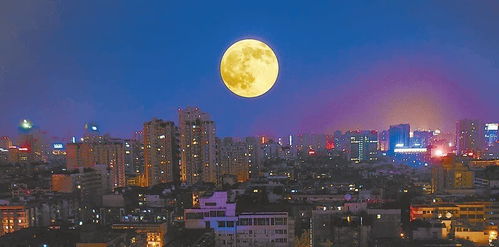 呼和浩特的一夜：探寻交友现象背后的原因,呼和浩特的一夜：探寻交友现象背后的原因,第2张
