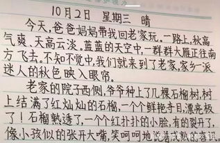 笔迹如何提升？让你的字迹变得更美丽,笔迹如何提升？让你的字迹变得更美丽,第2张