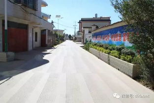 孝昌槐荫论坛：探讨建设美丽乡村的路线,孝昌槐荫论坛：探讨建设美丽乡村的路线,第1张