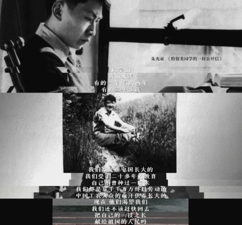 白眼狼：背后潜藏的险恶- 重写的新标题,白眼狼：背后潜藏的险恶- 重写的新标题,第1张