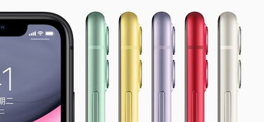 苹果官方发布全新iPhone 12：革新设计，迈向5G新纪元,苹果官方发布全新iPhone 12：革新设计，迈向5G新纪元,第3张
