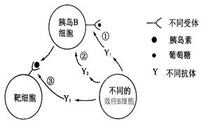 想自己在家做蛋糕？这7个简单步骤能助你一臂之力！,想自己在家做蛋糕？这7个简单步骤能助你一臂之力！,第1张