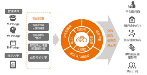 深圳企业打破记录，成全球首个拥有谷歌商业级AI推理卡的企业,深圳企业打破记录，成全球首个拥有谷歌商业级AI推理卡的企业,第1张
