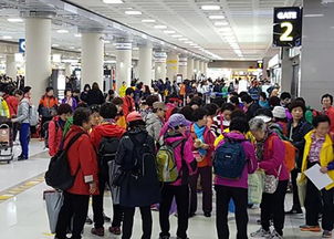 深度游山东：探索康辉国际旅行社的独特魅力,深度游山东：探索康辉国际旅行社的独特魅力,第3张