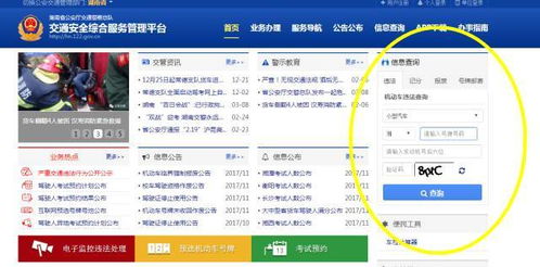 如何查询临沂市的车辆违章记录？,如何查询临沂市的车辆违章记录？,第3张