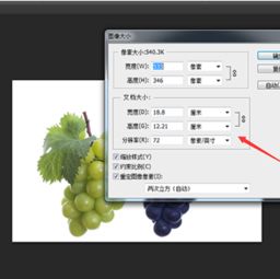 如何编辑一寸照片的尺寸大小？,如何编辑一寸照片的尺寸大小？,第2张