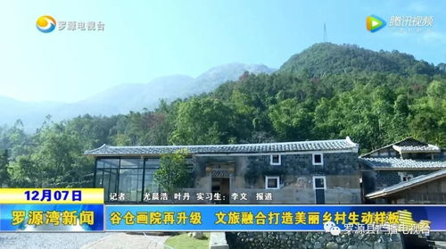 银杏之美：探秘银杏树的神奇之处,银杏之美：探秘银杏树的神奇之处,第3张