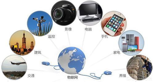 互联网生态演化下-悠哉网CEO的战略分析,互联网生态演化下-悠哉网CEO的战略分析,第3张