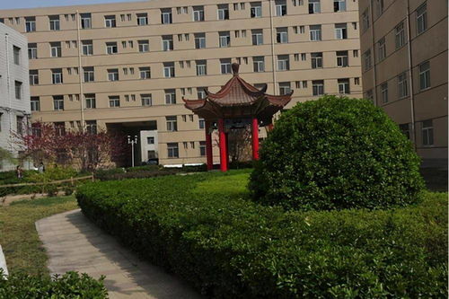 探索河北传媒学院官网，深入了解美术与传媒融合教育的创新,探索河北传媒学院官网，深入了解美术与传媒融合教育的创新,第1张
