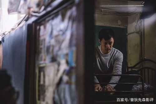 当少年沉浸在奇幻之中：电影《少年派的奇幻漂流》的魔力之处,当少年沉浸在奇幻之中：电影《少年派的奇幻漂流》的魔力之处,第3张