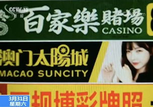 从新手到高手，品色堂教你成为真正的色情大师,从新手到高手，品色堂教你成为真正的色情大师,第3张