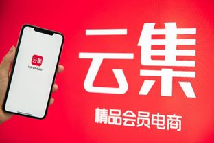 陌陌第一季度收入增长预期超出市场预期,陌陌第一季度收入增长预期超出市场预期,第2张
