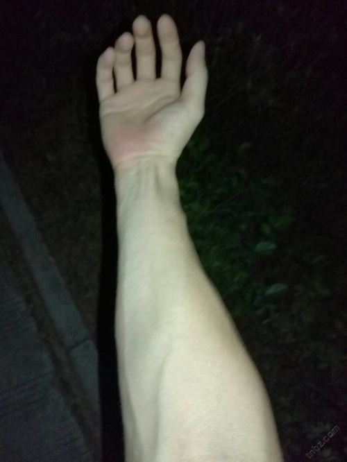 细腻纤臂计划，让你轻松实现瘦胳膊梦,细腻纤臂计划，让你轻松实现瘦胳膊梦,第1张