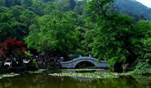 黔南山区大力发展旅游业，助力贫困地区脱贫致富,黔南山区大力发展旅游业，助力贫困地区脱贫致富,第3张