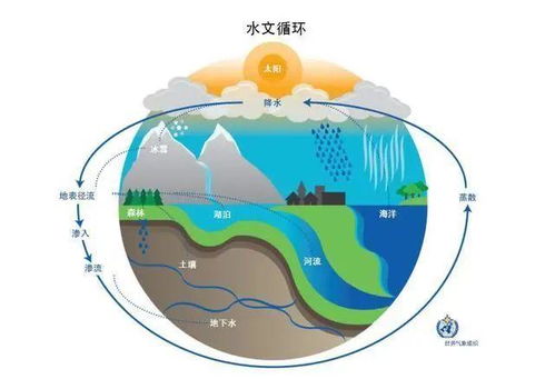 探究世界水资源与河流管理-国际河工委员会第三届大会回顾,探究世界水资源与河流管理-国际河工委员会第三届大会回顾,第3张