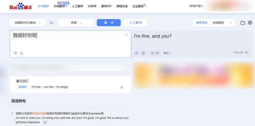 探究韩文在线翻译的可靠性,探究韩文在线翻译的可靠性,第2张