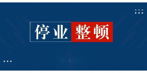 如何招架各种打扰？-深度分析不同类型骚扰电话的应对方式,如何招架各种打扰？-深度分析不同类型骚扰电话的应对方式,第3张