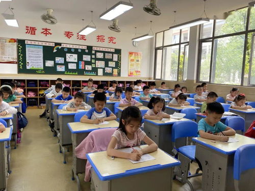 黄岩实验小学：探寻学生全面发展的奥秘,黄岩实验小学：探寻学生全面发展的奥秘,第1张