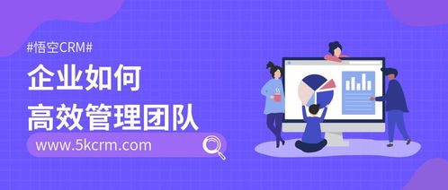 如何让你的网上商城迅速晋升爆款之路？,如何让你的网上商城迅速晋升爆款之路？,第3张