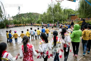 南阳四中：寒门学子再创高考神话,南阳四中：寒门学子再创高考神话,第3张
