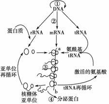想自己在家做蛋糕？这7个简单步骤能助你一臂之力！,想自己在家做蛋糕？这7个简单步骤能助你一臂之力！,第3张