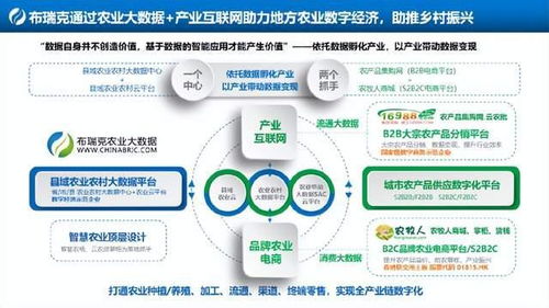 陆河论坛：从传统乡村到数字化社区的转型,陆河论坛：从传统乡村到数字化社区的转型,第2张