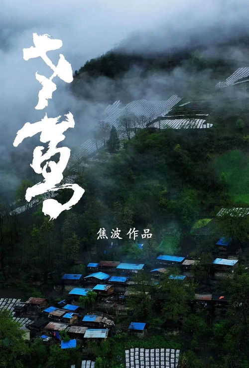 探秘魔炼大陆：一次难忘的游学之旅,探秘魔炼大陆：一次难忘的游学之旅,第2张