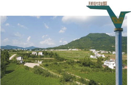 南和信息港：探秘乡村网络社区,南和信息港：探秘乡村网络社区,第3张