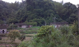 淮北市相山区农村振兴，新春走基层的见闻,淮北市相山区农村振兴，新春走基层的见闻,第2张