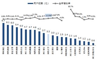 掌握网络营销技巧，绽放你的市场潜能！,掌握网络营销技巧，绽放你的市场潜能！,第1张