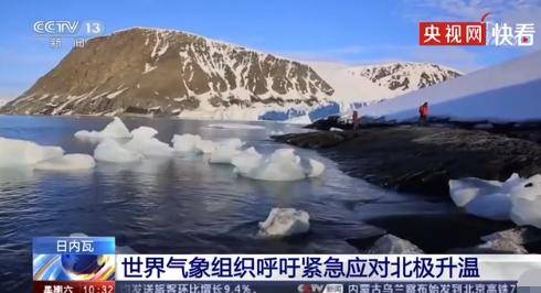 北极熊身体素质逐渐减弱：人类的行为是罪魁祸首吗？,北极熊身体素质逐渐减弱：人类的行为是罪魁祸首吗？,第3张