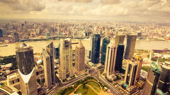 《发现中国石狮的美丽之旅》,《发现中国石狮的美丽之旅》,第2张