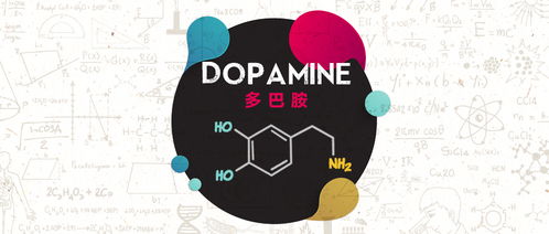大脑中的奖赏机制：为何沉迷成瘾？,大脑中的奖赏机制：为何沉迷成瘾？,第2张