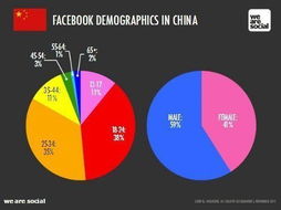 中国社交媒体：一个值得探究的真相,中国社交媒体：一个值得探究的真相,第3张