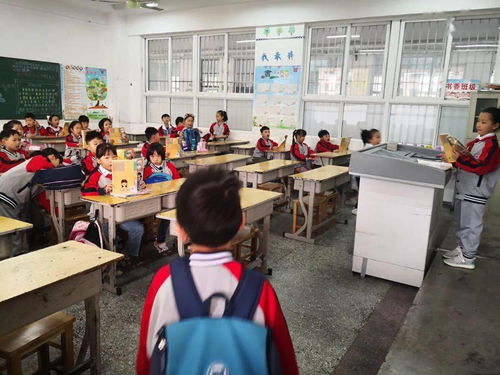 黄岩实验小学：探寻学生全面发展的奥秘,黄岩实验小学：探寻学生全面发展的奥秘,第3张