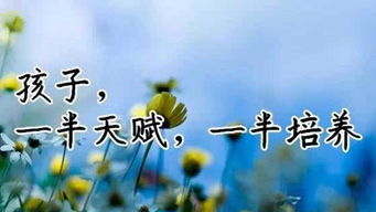 以故事的形式回顾过去，拂去人生中的尘埃。,以故事的形式回顾过去，拂去人生中的尘埃。,第1张